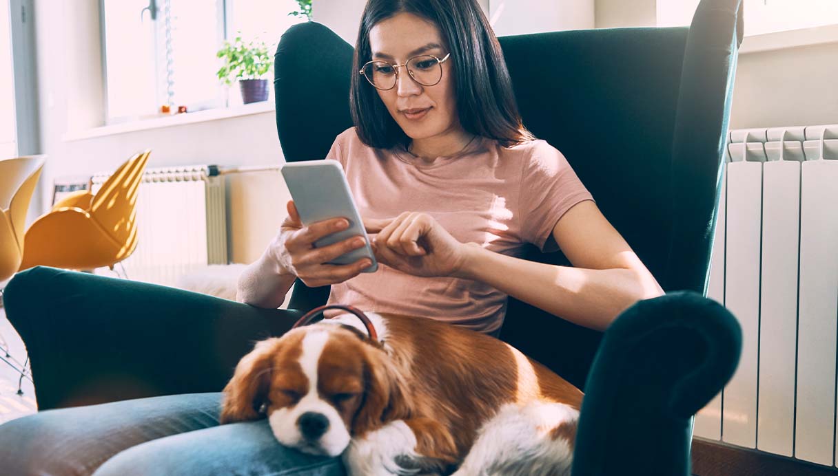 Investor reviewing account online