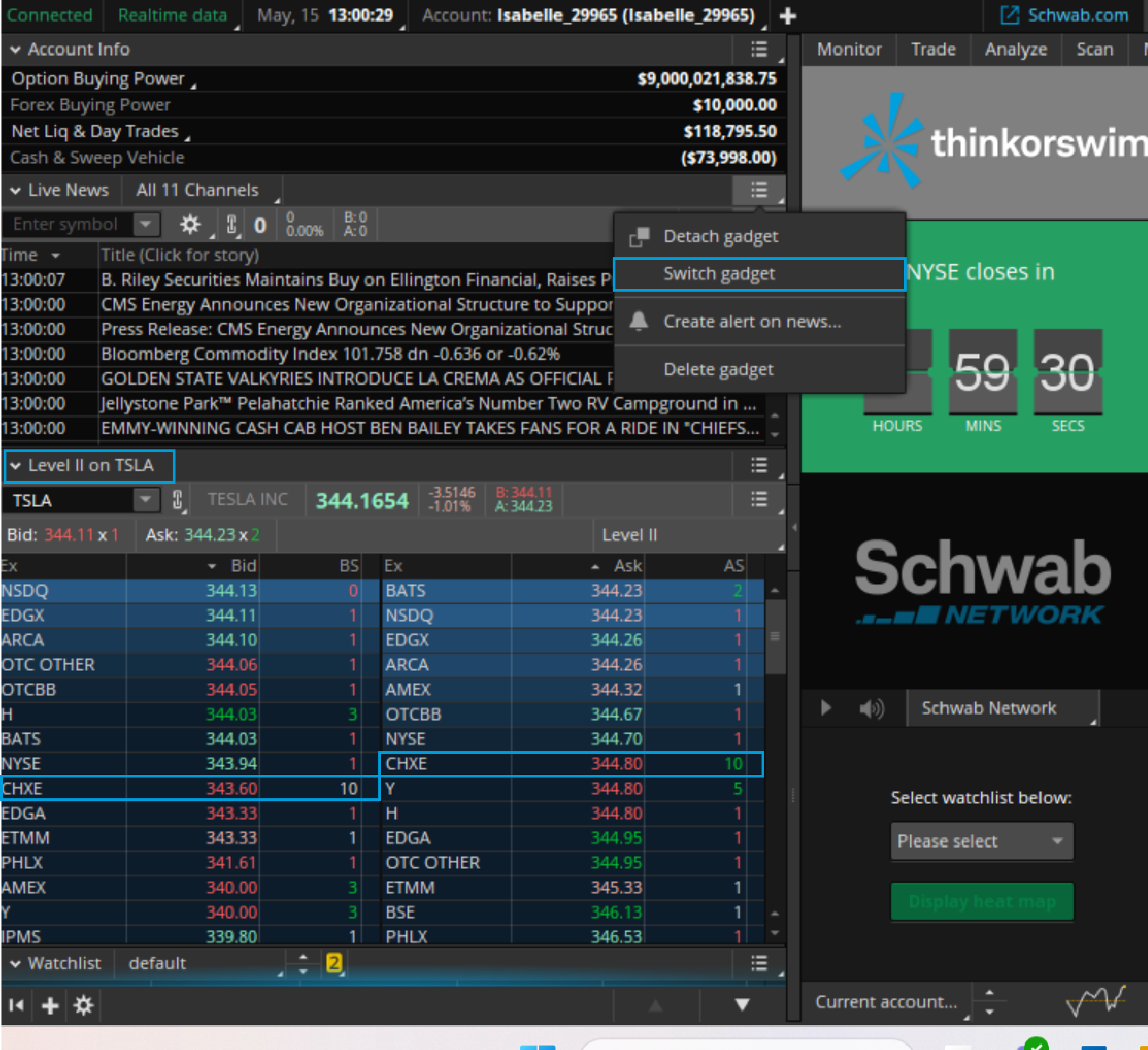 Level II data can be accessed through the thinkorswim gadget menu. The data lists the market makers, bid prices (and the number of orders at the bid), and ask prices (and the number of orders at the ask).