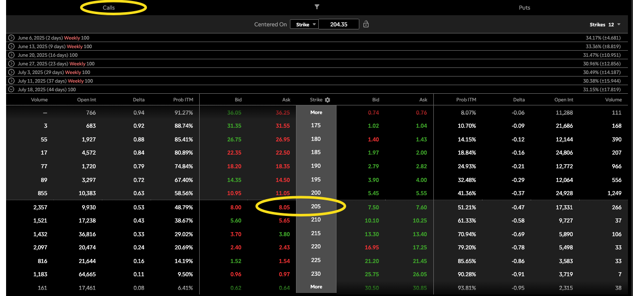 Example showing multiple strike prices in the July 18, 2025, series. The 205 strike is closest to the current price of the underlying stock.